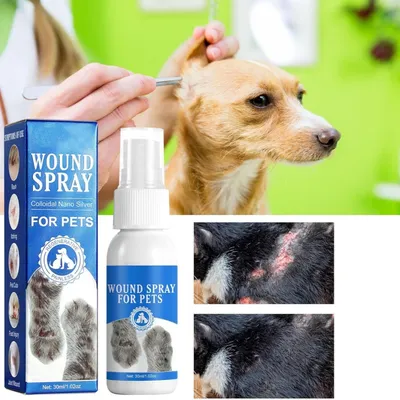 FurryFusion Spray de soin des plaies pour chien et chat