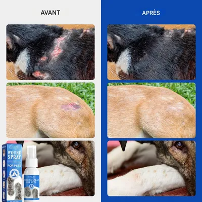 FurryFusion Spray de soin des plaies pour chien et chat