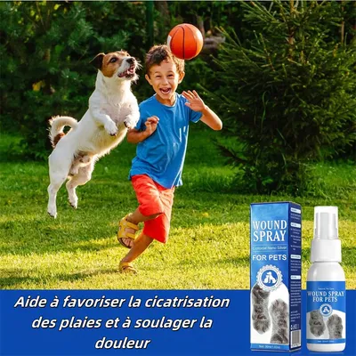 FurryFusion Spray de soin des plaies pour chien et chat