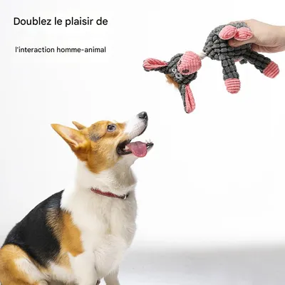 Jouet sonore à mâcher pour chien