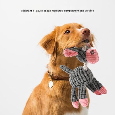 Jouet sonore à mâcher pour chien