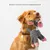 Jouet sonore à mâcher pour chien