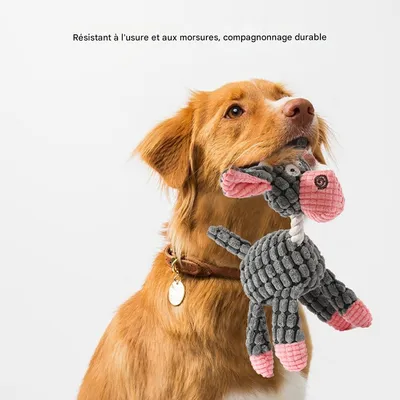 Jouet sonore à mâcher pour chien