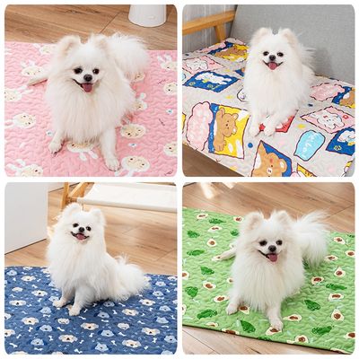 Tapis pour animaux de compagnie