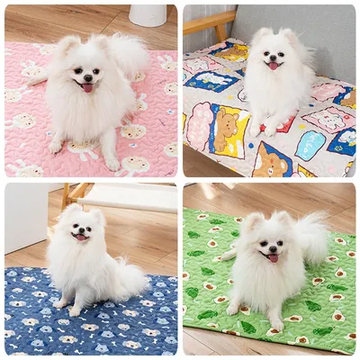 Tapis pour animaux de compagnie