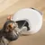 Izefia Distributeur de nourriture pour animaux, blanc