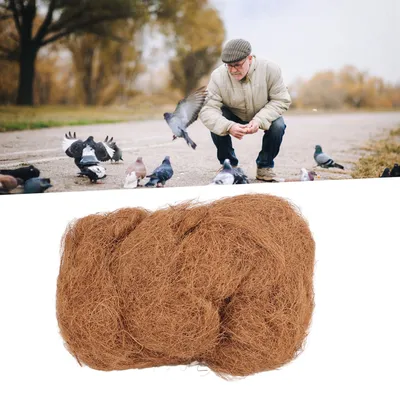 Iokheira 250 g de fibre de coco nid d'oiseau