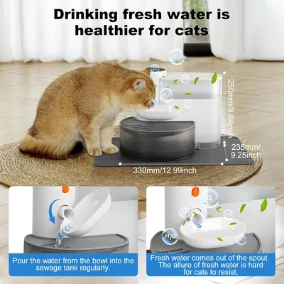 Iokheira Fontaine à eau intelligente sans fil pour animaux de compagnie