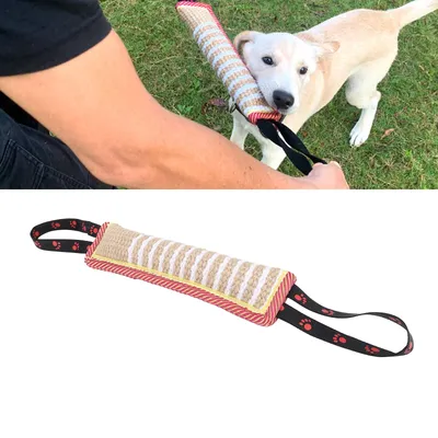 Iokheira Bâton de dressage pour chien