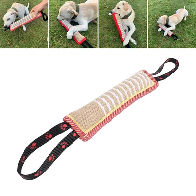 Iokheira Bâton de dressage pour chien