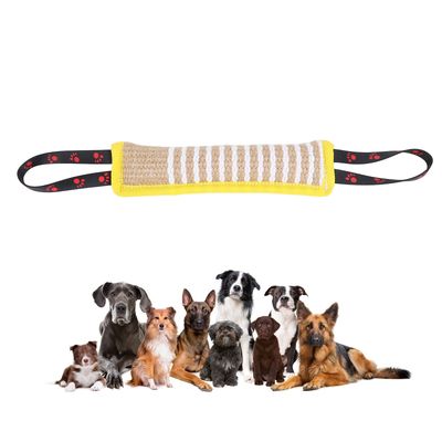Iokheira Bâton de dressage pour chien