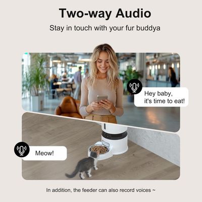 Iokheira Distributeur automatique de nourriture pour chat