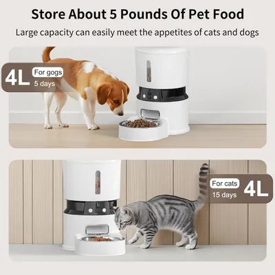 Iokheira Distributeur automatique de nourriture pour chat