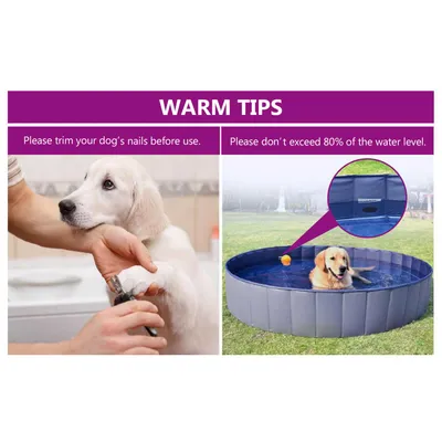 Iokheira Piscine pliable pour chien