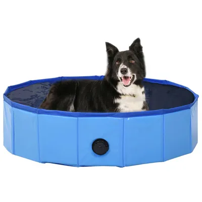Iokheira Piscine pliable pour chien