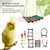 Iokheira Ensemble de balançoire et de jouets à mâcher pour perroquet