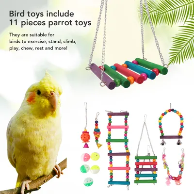 Iokheira Ensemble de balançoire et de jouets à mâcher pour perroquet