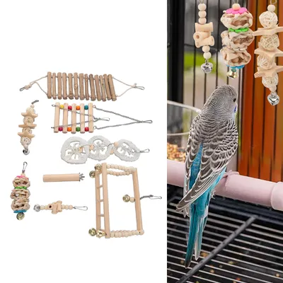 Iokheira Ensemble de huit jouets multifonctionnels pour perroquets
