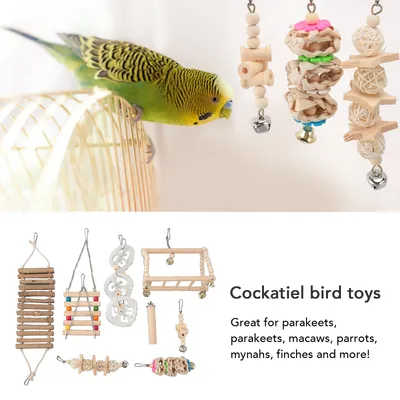 Iokheira Ensemble de huit jouets multifonctionnels pour perroquets