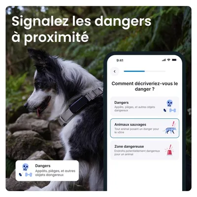 Tractive DOG 6 – Collier GPS chien connecté avec moniteur de santé – Noir