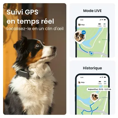 Tractive DOG 6 – Collier GPS chien connecté avec moniteur de santé – Noir