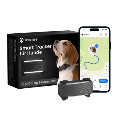Tractive DOG 6 – Collier GPS chien connecté avec moniteur de santé – Noir Tractive DOG 6 – Collier GPS chien connecté avec moniteur de santé – Noir