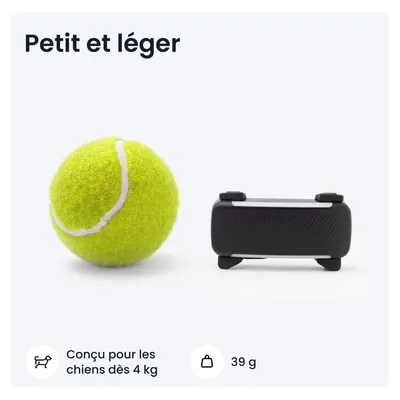 Tractive DOG 6 – Collier GPS chien connecté avec moniteur de santé – Noir
