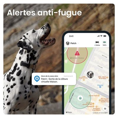 Tractive DOG 6 – Collier GPS chien connecté avec moniteur de santé – Noir