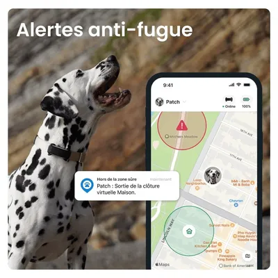 Tractive DOG 6 – Collier GPS chien connecté avec moniteur de santé – Noir