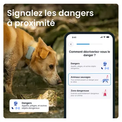 Tractive DOG 6 – Collier GPS chien connecté avec moniteur de santé – Menthe