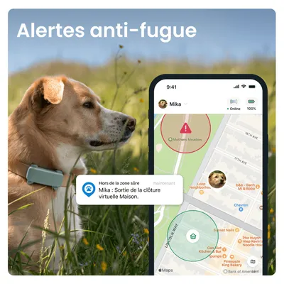 Tractive DOG 6 – Collier GPS chien connecté avec moniteur de santé – Menthe