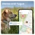 Tractive DOG 6 – Collier GPS chien connecté avec moniteur de santé – Menthe