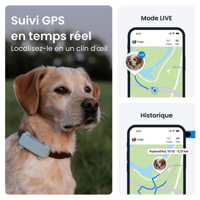 Tractive DOG 6 – Collier GPS chien connecté avec moniteur de santé – Menthe