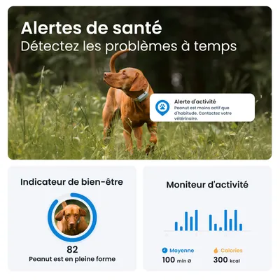 Tractive DOG 6 – Collier GPS chien connecté avec moniteur de santé – Menthe