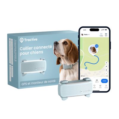 Tractive DOG 6 – Collier GPS chien connecté avec moniteur de santé – Menthe