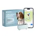 Tractive DOG 6 – Collier GPS chien connecté avec moniteur de santé – Menthe