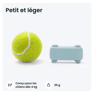 Tractive DOG 6 – Collier GPS chien connecté avec moniteur de santé – Menthe