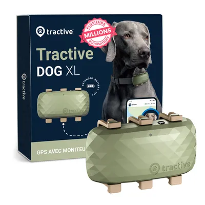 Tractive DOG XL – Collier GPS connecté pour chien avec suivi santé
