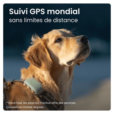 Tractive DOG XL – Collier GPS connecté pour chien avec suivi santé