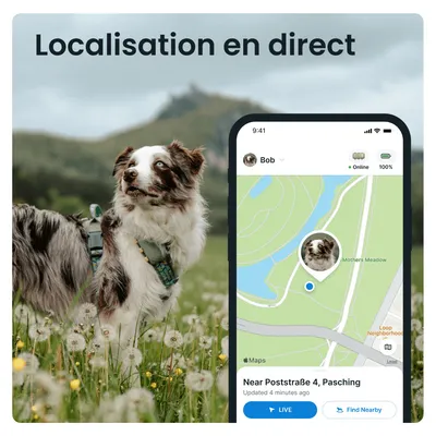 Tractive DOG XL – Collier GPS connecté pour chien avec suivi santé