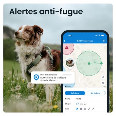 Tractive DOG XL – Collier GPS connecté pour chien avec suivi santé