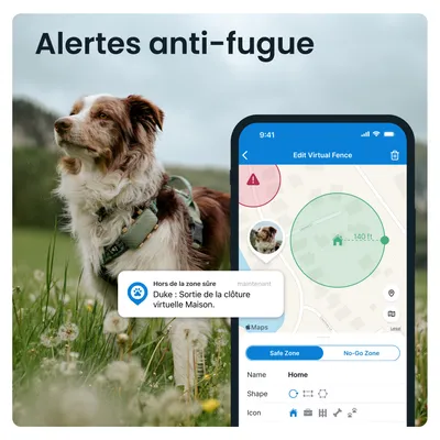 Tractive DOG XL – Collier GPS connecté pour chien avec suivi santé
