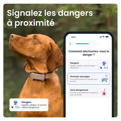 Tractive DOG 6 – Collier GPS chien connecté avec moniteur de santé – Marron