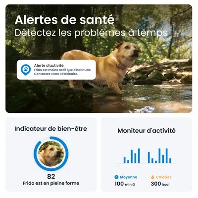Tractive DOG 6 – Collier GPS chien connecté avec moniteur de santé – Marron