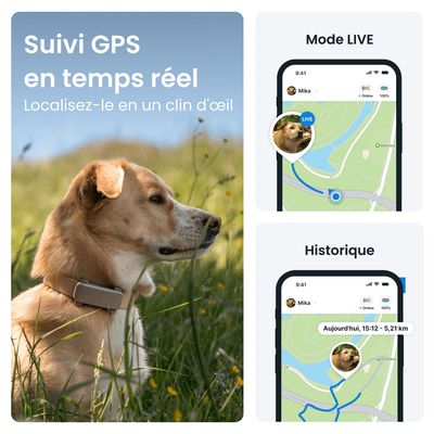 Tractive DOG 6 – Collier GPS chien connecté avec moniteur de santé – Marron