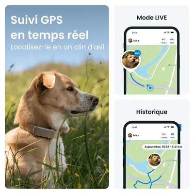 Tractive DOG 6 – Collier GPS chien connecté avec moniteur de santé – Marron