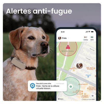 Tractive DOG 6 – Collier GPS chien connecté avec moniteur de santé – Marron