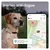 Tractive DOG 6 – Collier GPS chien connecté avec moniteur de santé – Marron