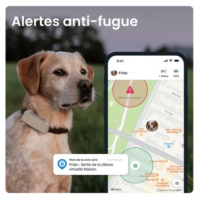 Tractive DOG 6 – Collier GPS chien connecté avec moniteur de santé – Marron