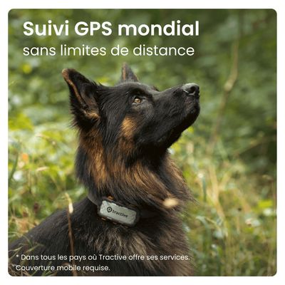 Tractive DOG XL – Collier GPS chien connecté pour grands chiens - gris